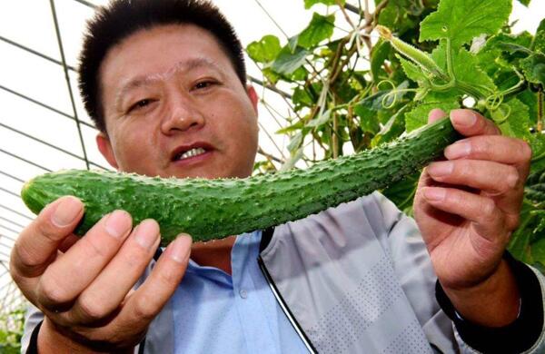 生鮮食材配送為什么大多不能與客戶建立長期合作？